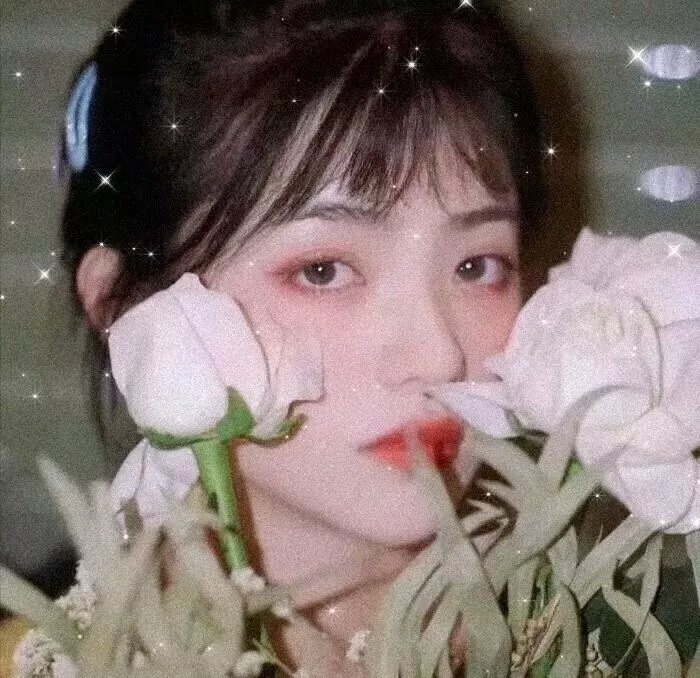 小猫熊历险记
